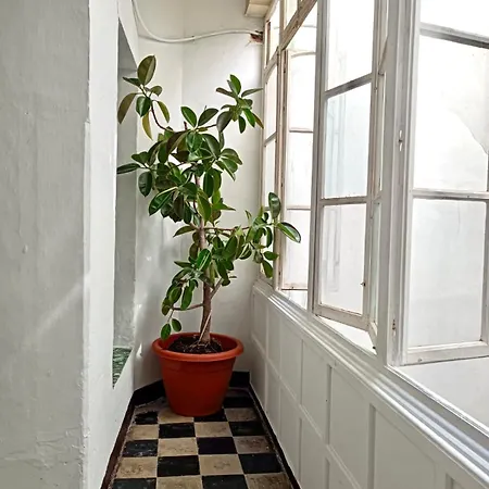 Апартаменты Precioso Apartamento: La Luz De